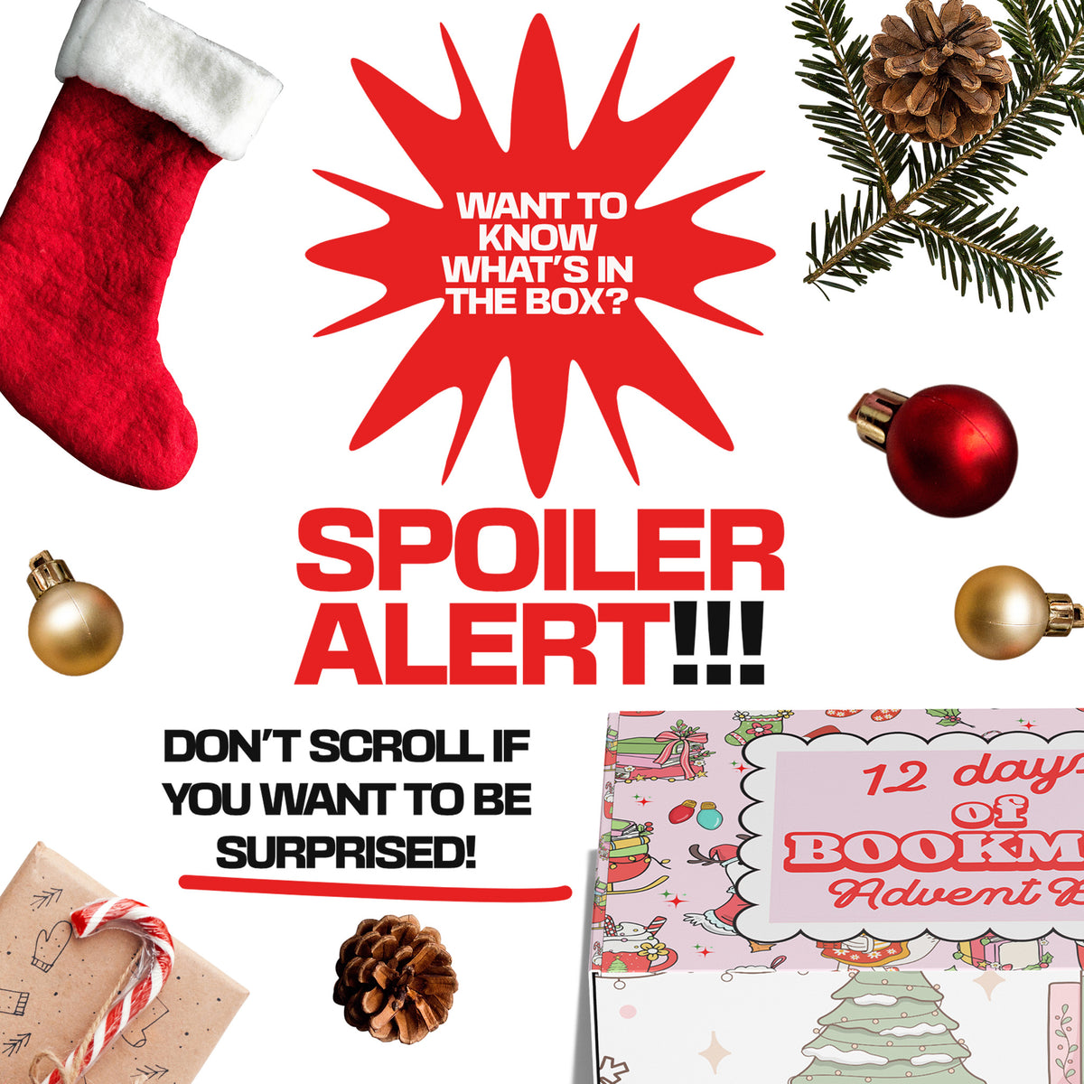 12 Days Of Bookmas Advent Box